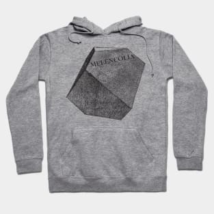 Durer Polyhedra Hoodie